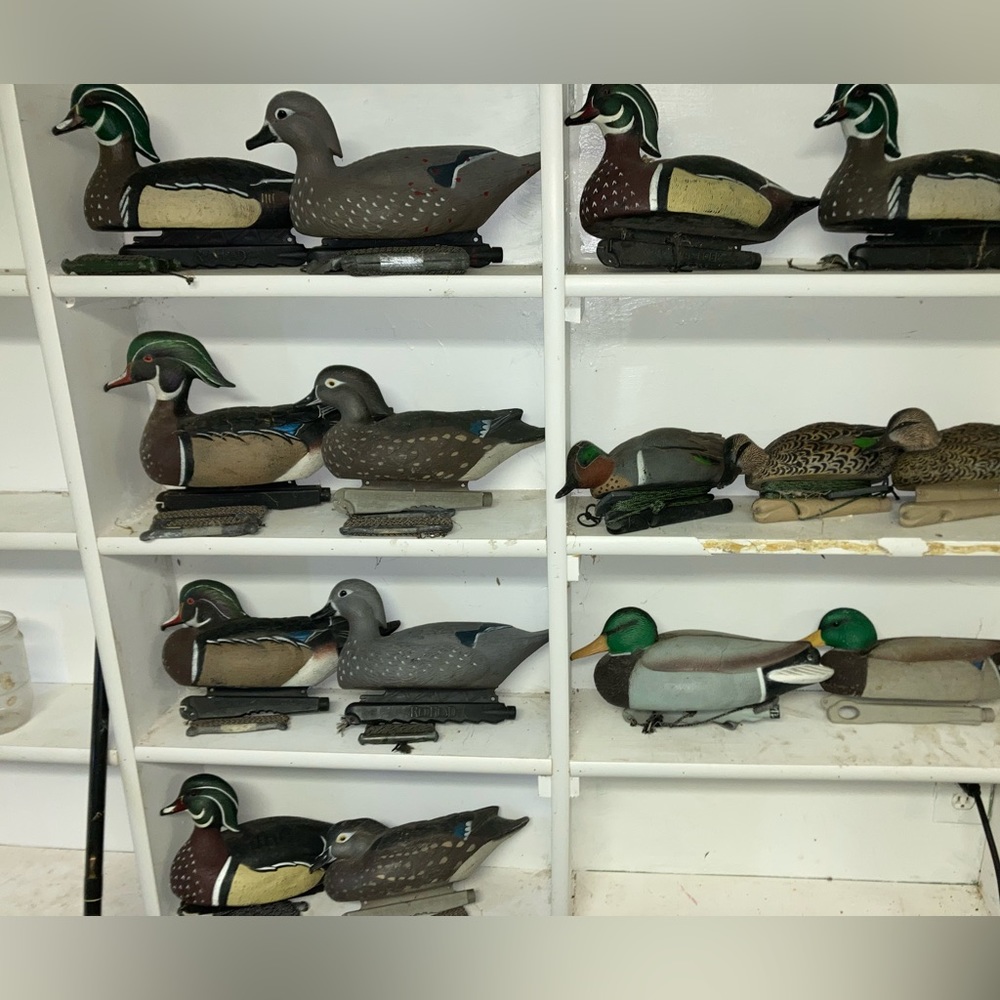 AvianX wood ducks, mallards, and green wing teal decoys